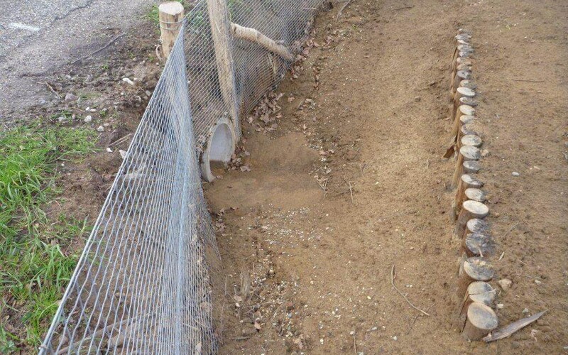 Sint Joost Aanleg wildroosters en dassentunnels