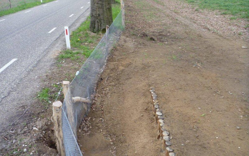 Sint Joost Aanleg wildroosters en dassentunnels